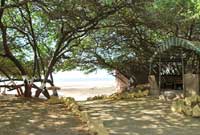 The Beach At Mandvi Palace  Beach View