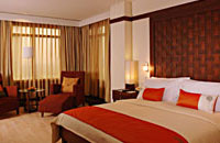 Fortune Select Global Gurgaon,Book New Delhi Hotels with Local Support and Rates,New Delhi hotels and New Delhi city guide with New Delhi hotel discounts.