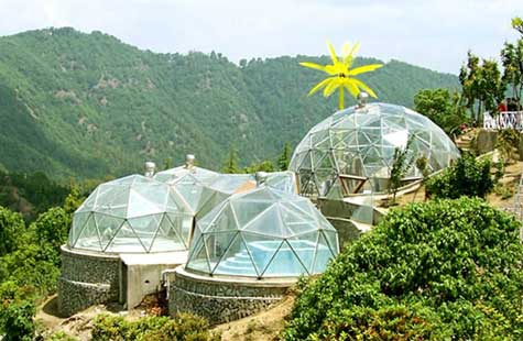 Tarikas Jungal Retreat Chail Dome Shape Cottage