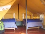 Tent  Inside