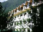 hotel-with-pine-trees