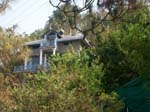 Shimla View Cottage Kasaulia4