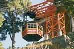 Cable Car,TIMBER TRAIL HEIGHTS,Timber Trail Heights,timber trail heights,Timber Trail Heights Parwanoo Himachal pradesh, India  &amp;  hotel, Hill station  discount hotel tariff / rates/ pricelist, hotels in Parwanoo.