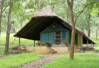 B R Hills Wildlife Resort 