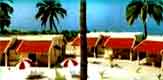 Welcome to Agatti Island Beach Resort enter here to get the lastest tariff and the informations about the beach resort
