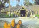 Welcome to Bangaram Island Resort enter here to get tariff and more details about the Resort...
