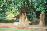 The Royal Tiger Resort, The Royal Tiger Resort At Kanha,Kanha National Park,Kanha Tiger Reserve,Tigers in Kanha.