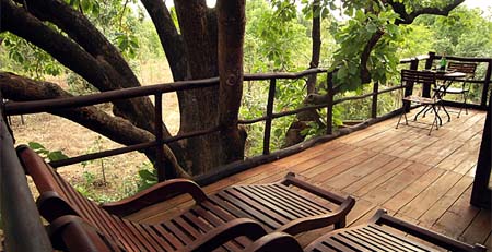 Tree House Balcony