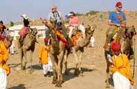 The Rawla Camp Retreat Jaisalmer Rajasthan,Camel Safari,Camel Safari Tours,Camel and Elephant Safaris,Camel, Camel Safari,Camel Safaris in India,Desert Camel Safari,India Camel Safari Tour,India Camel Safari Tours.