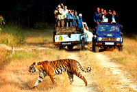 The Grand Shiva Resort Jungle Safari