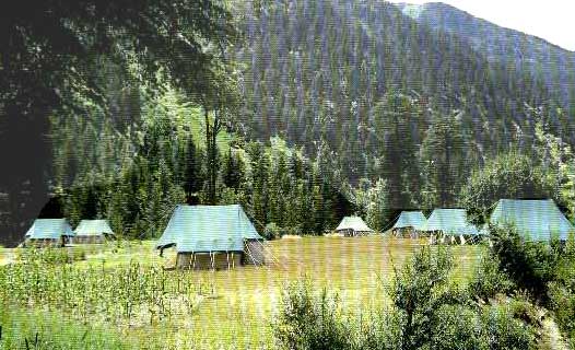 Dhanaulti Woods Swiss Camp,Camp Tour to Beas Banks,River Side Swiss Camp,Swiss Camp,Camp Tour to india, Swiss Camp in india,Camp Tour to Rishikesh, Swiss Camp in Rishikesh.