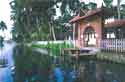 Kerala Backwater Resorts,Kerala Backwater Resort,Backwater Resorts in Kerala,Beautiful kerala Hotels Kerala,Forts in kerala,Resorts KERALA,Palaces Kerala Gods Own Country,discount hotel packages,Hotel kerala,Hotels in kerala India,latest hotel tariff,packages,ayurvedic packages,honeymoon packages,THE PAMBA HERITAGE VILLA Alappuzha,Kerala,INDIA, Homestay in Kerala, Backwater, Alleppey, Kerala.Kerala Backwater,Kerala Backwaters,Hotels in Kerala,Kerala Backwaters Hotels,Kerala Travel,Travel to Kerala Backwaters,Backwaters in Kerala,Kerala Tourism,Kerala Backwaters in India,Kerala Backwater, Kerala Backwater tours, Backwaters in Kerala, Kerala backwater cruises, Kerala Hotels, Kerala travel, Kerala tourism, destinations Kerala, tour packages Kerala, tours to Kerala, travel to Kerala, Kerala backwater tourism, Kerala backwaters, backwaters of Kerala, Kerala India,homestay, home stay, Cochin, Kochi, cochin, kochi, Kerala, kerala, India, india, inde, homestead, ecolodge, eco lodge, eco-lodge, eco-tourism, rural tours, farmstay, farm tourism, farm produce, local crafts, sustainable agriculture, ecological restoration, backwaters, southern India, farmstead, farmhouse, organic farming,kerala backwater resorts, kerala backwater resort, backwater resorts in kerala, kerela backwaters resort, ayurvedic health resort in kerala, ayurveda resorts in kerala, backwater holidays resort in kerala, family tours to backwaters of kerela, exotic vacations to backwaters of kerela, kerala health holiday packages, cultural travel to kerala, kerala ayurvedic package tours, kerala festival tour, religious temples in kerala, kerala house boat tourism.