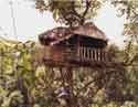 Tree House