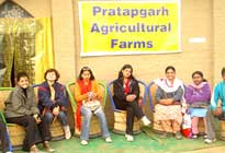 Pratapgarh Farms Agricultural Farms