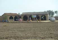 Pratapgarh Farms Activities Center