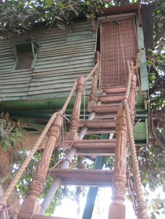 Fort Ramgarh_Tree Mansion