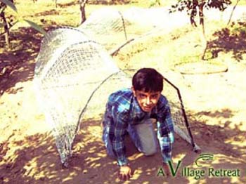 Adventure Activities1