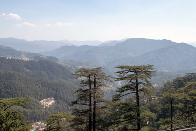 Barowalia Resorts Shimla