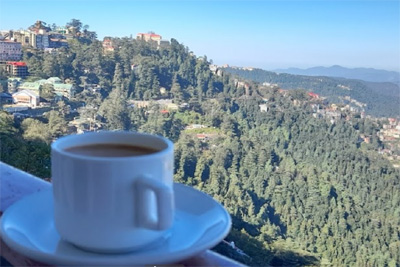 Hotel White Shimla