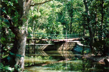 Resort Bridge
