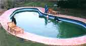 Pool view at royal tiger resort