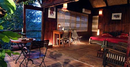 Tree House Room