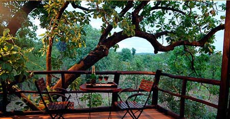 Tree-House-Restaurant-View