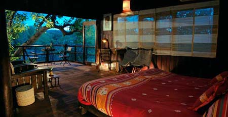 Tree-House-Room-View