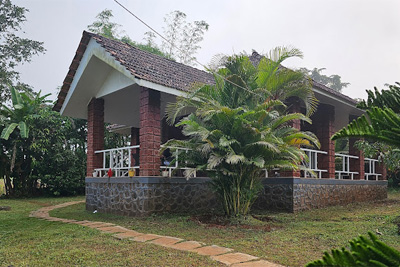 Rivanta Farm, chiplun, Maharashtra