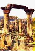 Sariska Palace,sariska palace resort,resorts in sariska,jungle lodge,sariska national park,india,resorts in sariska