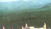 Sariska Palace,sariska palace resort,resorts in sariska,jungle lodge,sariska national park,india,resorts in sariska