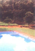 Sariska Palace,sariska palace resort,resorts in sariska,jungle lodge,sariska national park,india,resorts in sariska