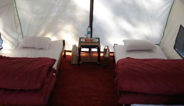 Tent