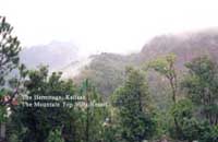 The Hermitage Kailash,The Hermitage Kailash Nainital, Resorts,Nainital Hill Resorts in Nainital,Hotel and Resorts in Nainital,Hill Resorts in Nainital India,Hotels and Resorts in Nainital Uttaranchal.