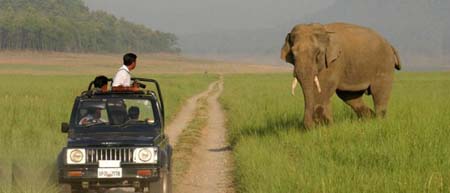 Jeep safari