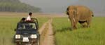 Jeep safari