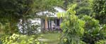 Wings cottage lawns
