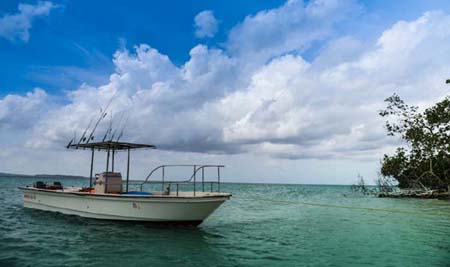 sea-shell-havelock (10)