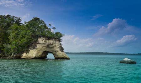 sea-shell-havelock (8)