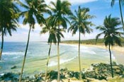 Beach Samudra