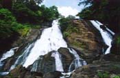 Palaruvi Water falls