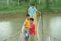 Pratapgarh Farms Bridge